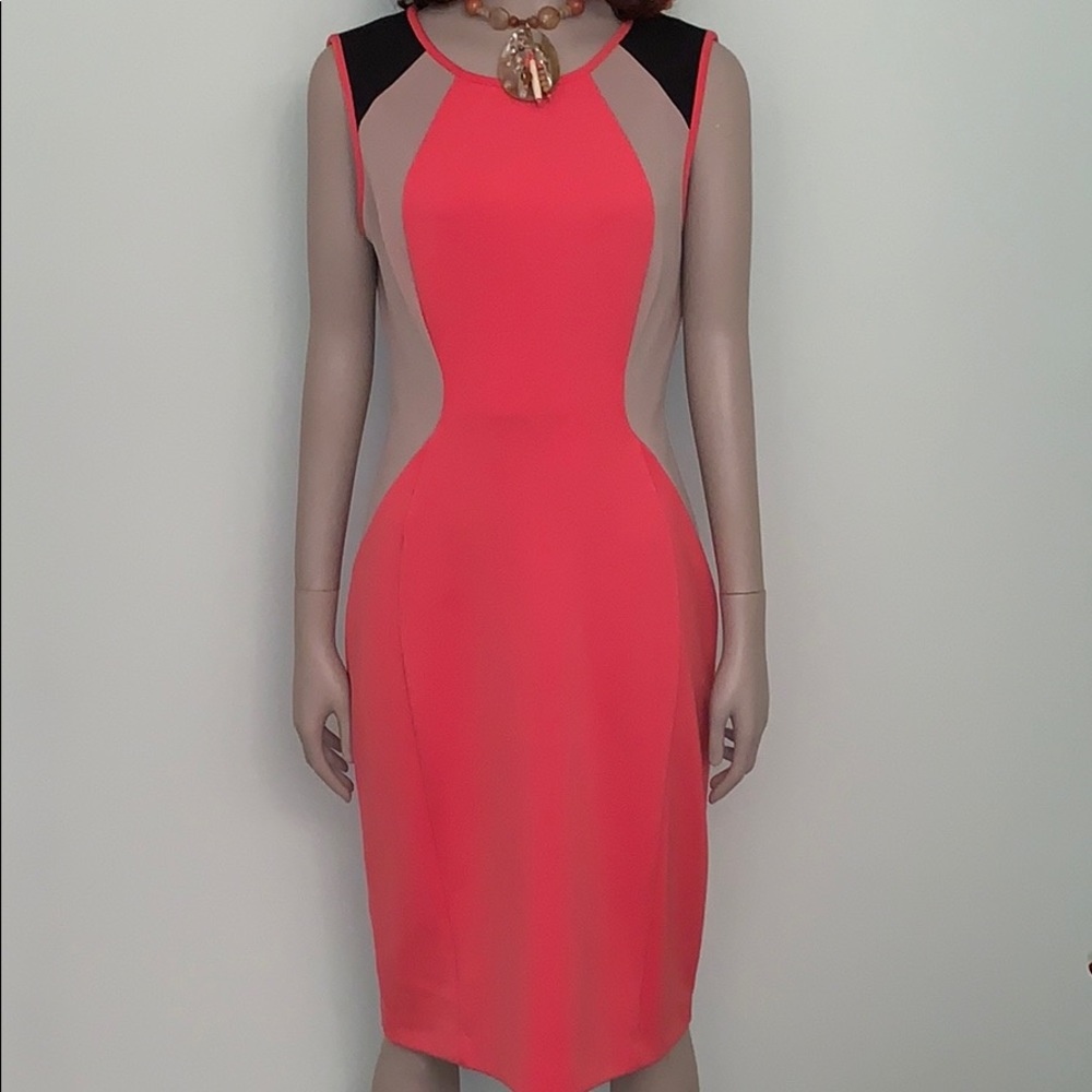 Maggy London Knit Dress